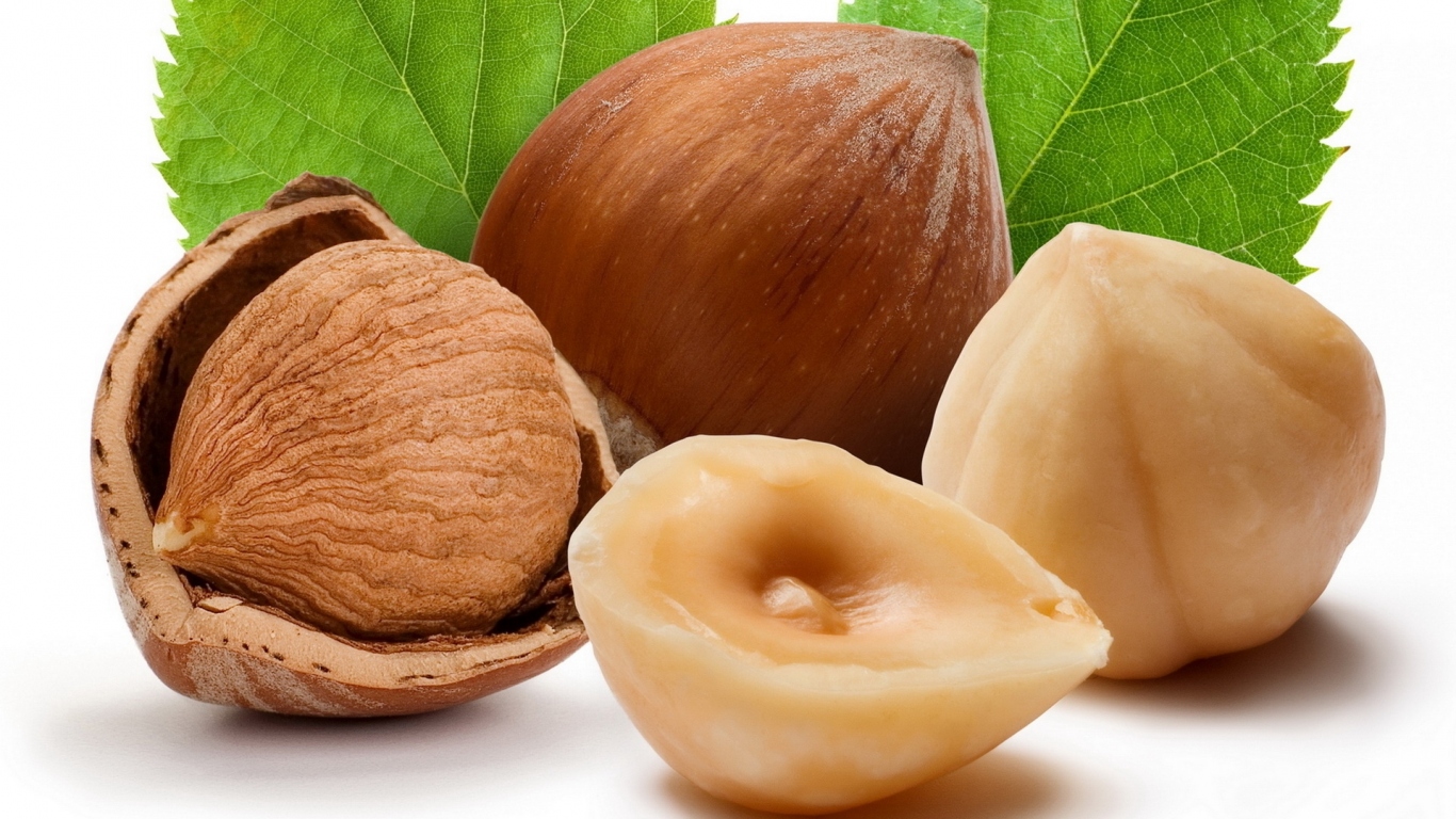 Лесные орехи