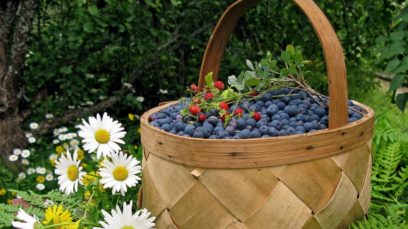 Корзина черники