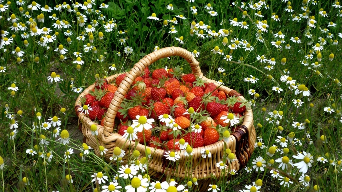 Корзинка с клубникой