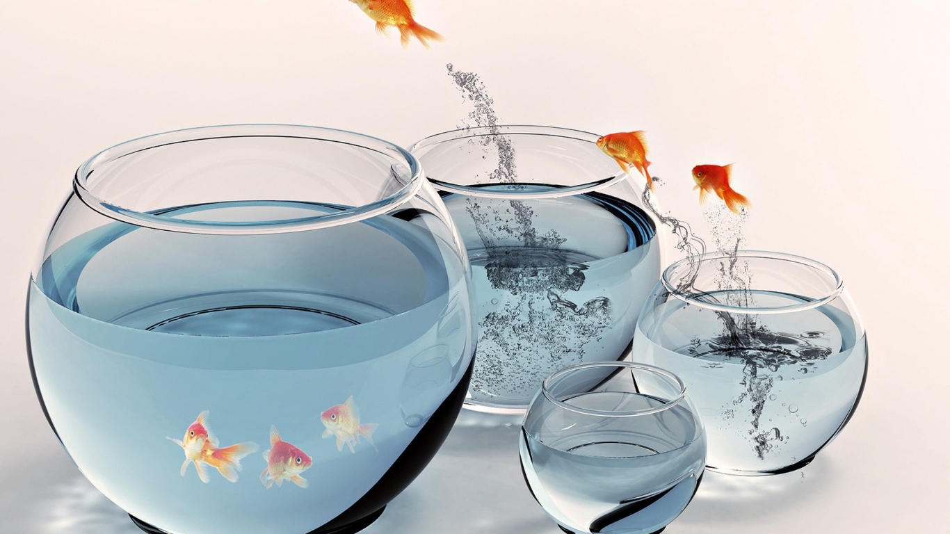 Золотые рыбки