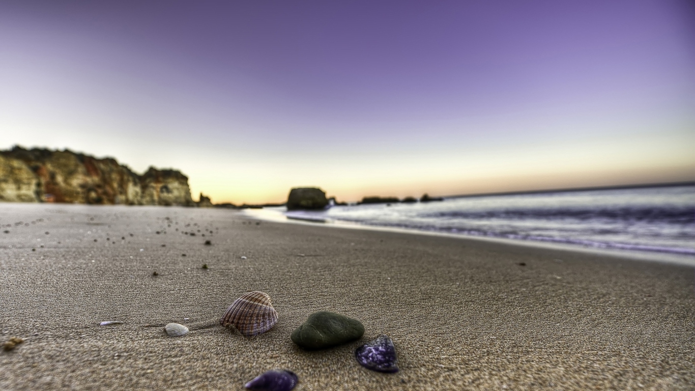 Ракушки на берегу