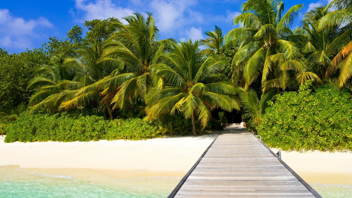 Пальмы на пляже