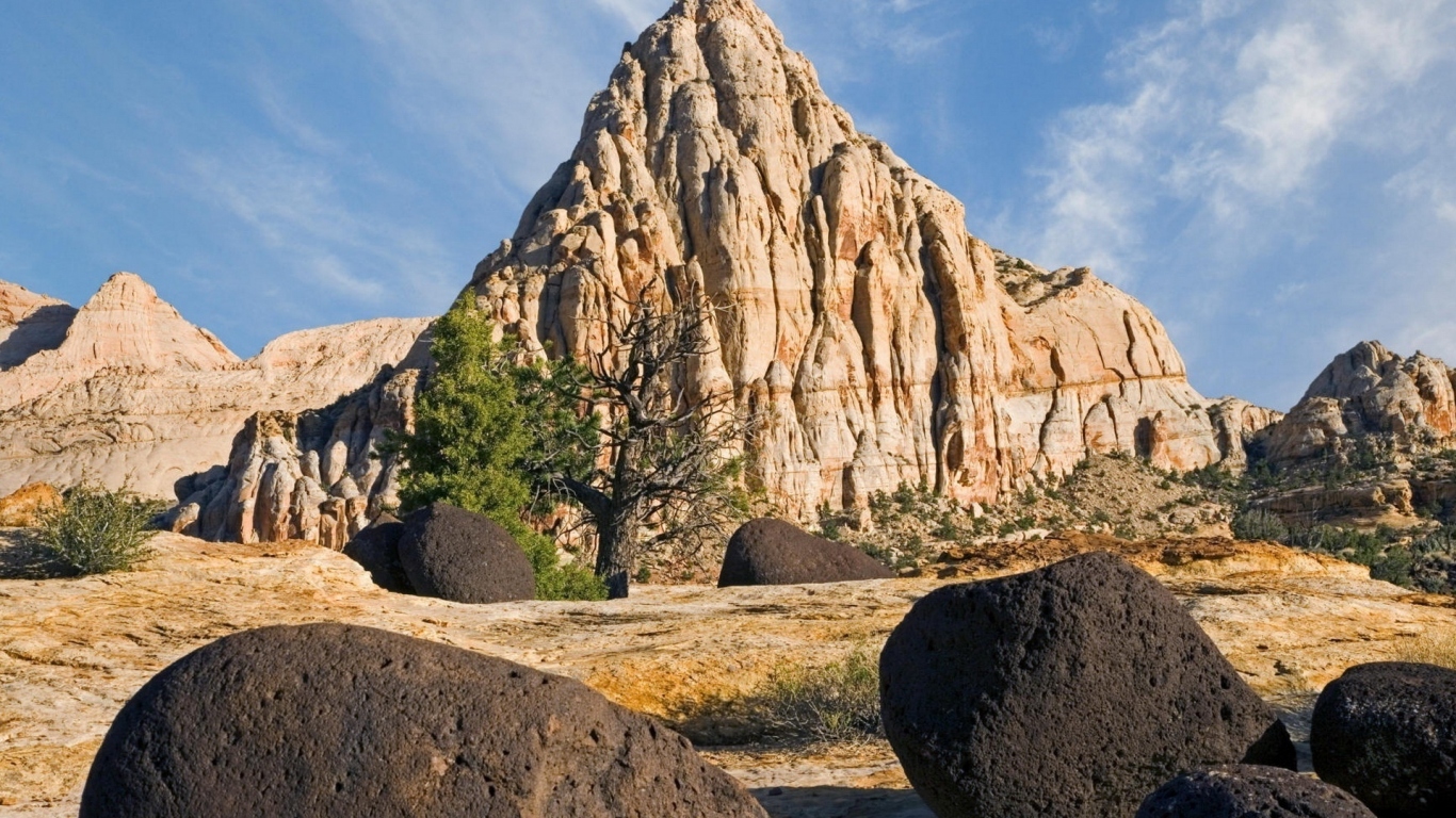 Пустынный пейзаж