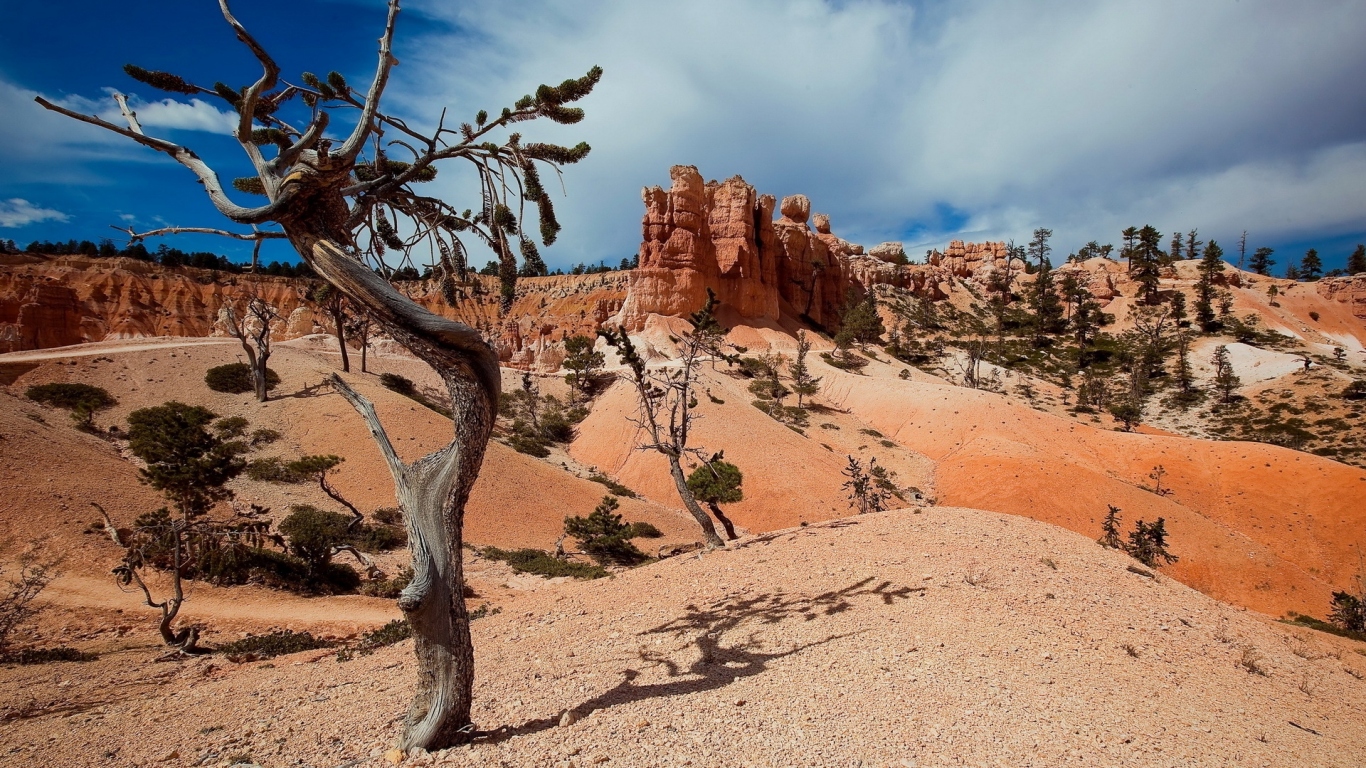 Пустынные холмы