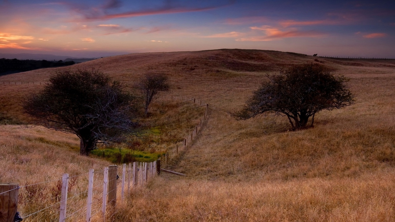 Поле и забор