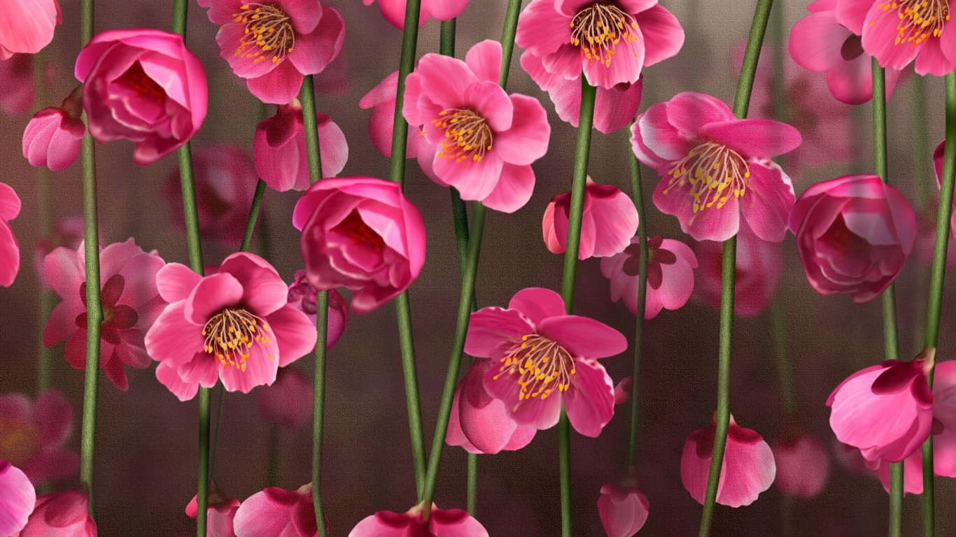 Рисунок цветов