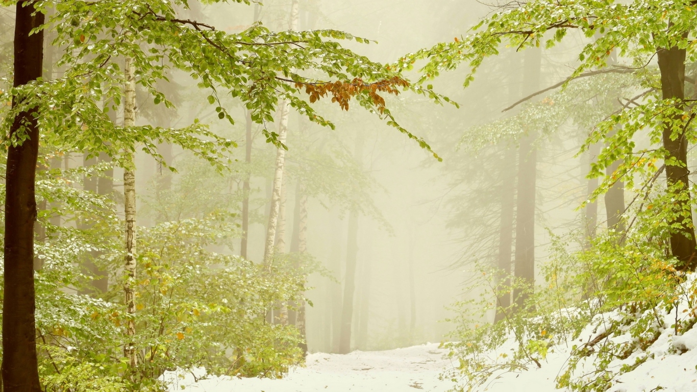 Ранний снег