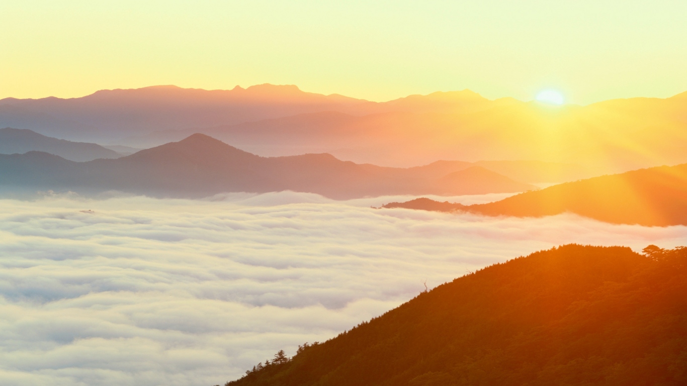 Густой туман