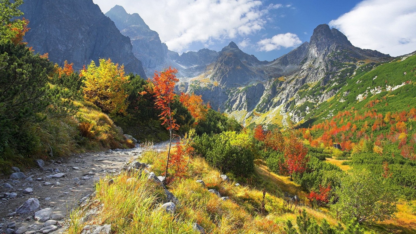 Горная тропа