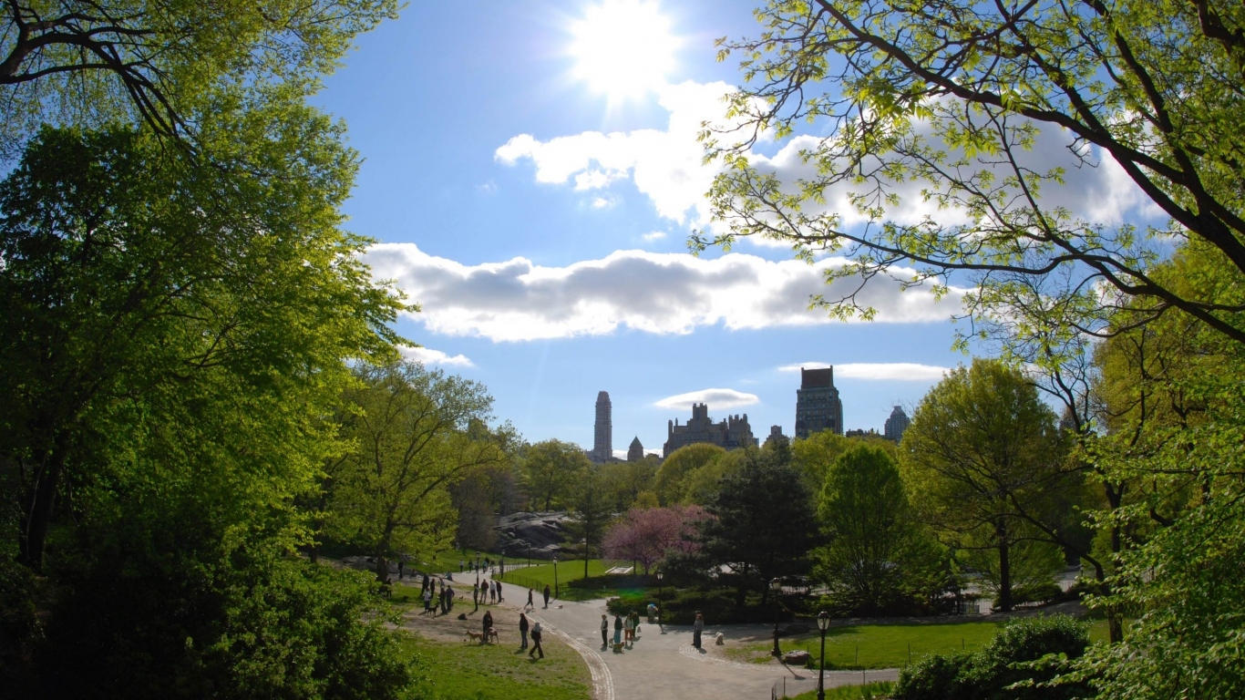 Городской парк