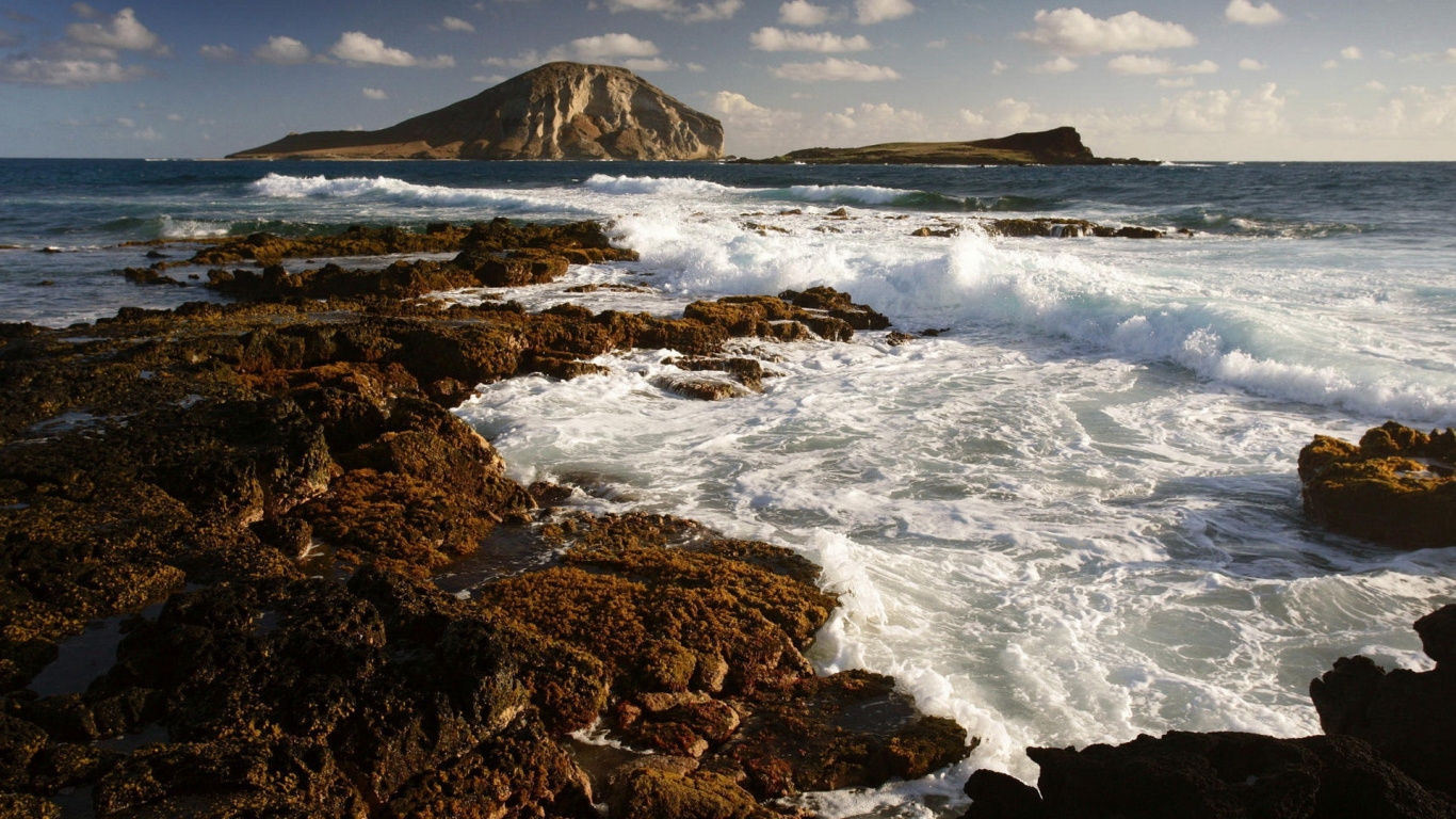 Морской берег