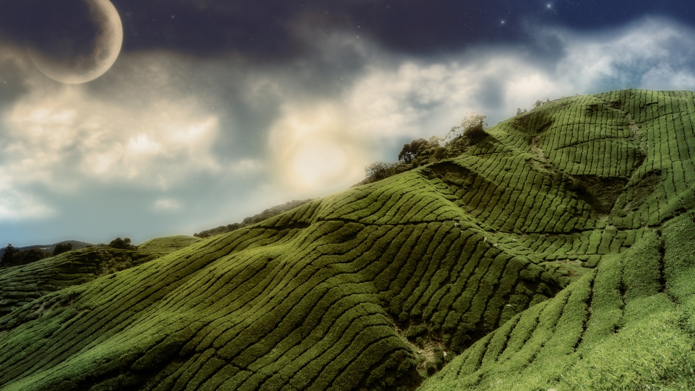 Зеленые холмы