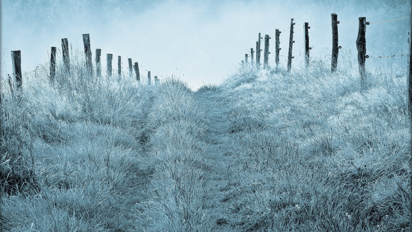 Туманным утром