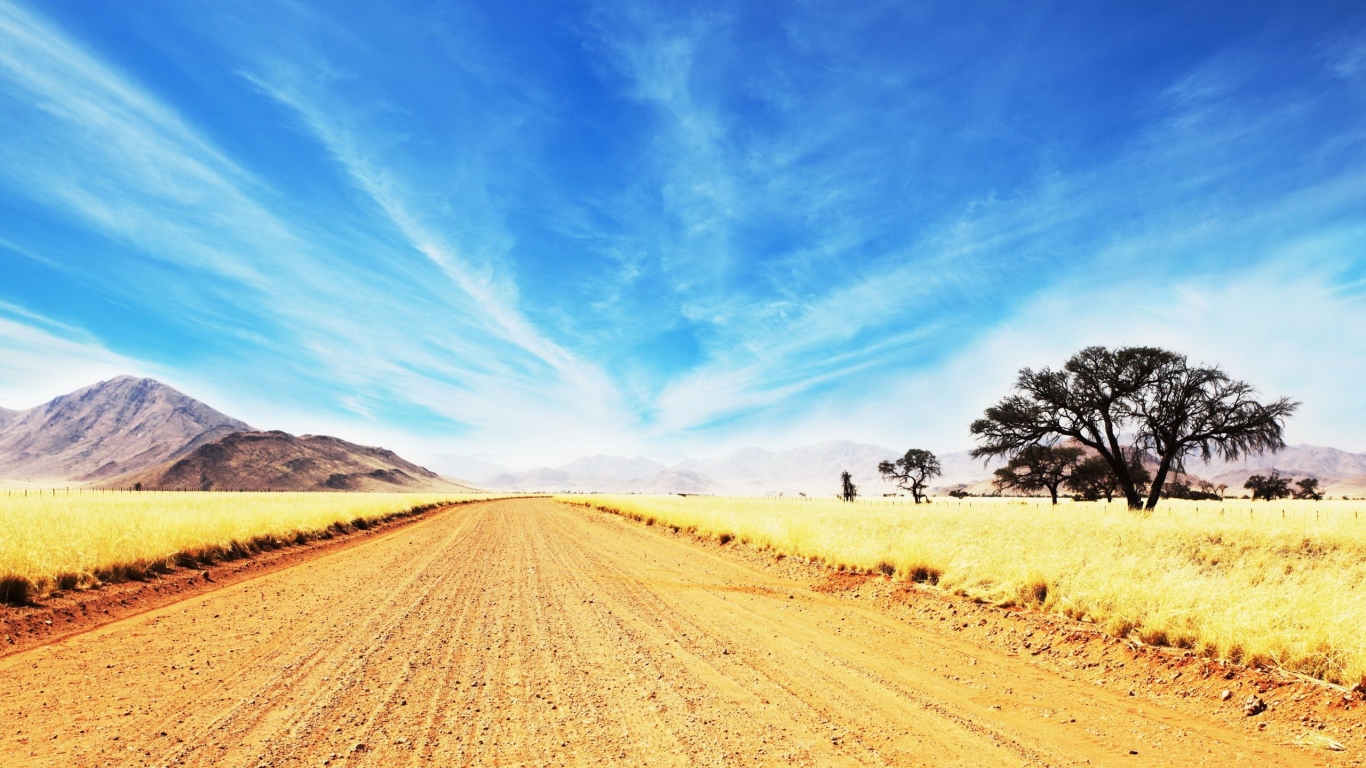 Дорога в саванне