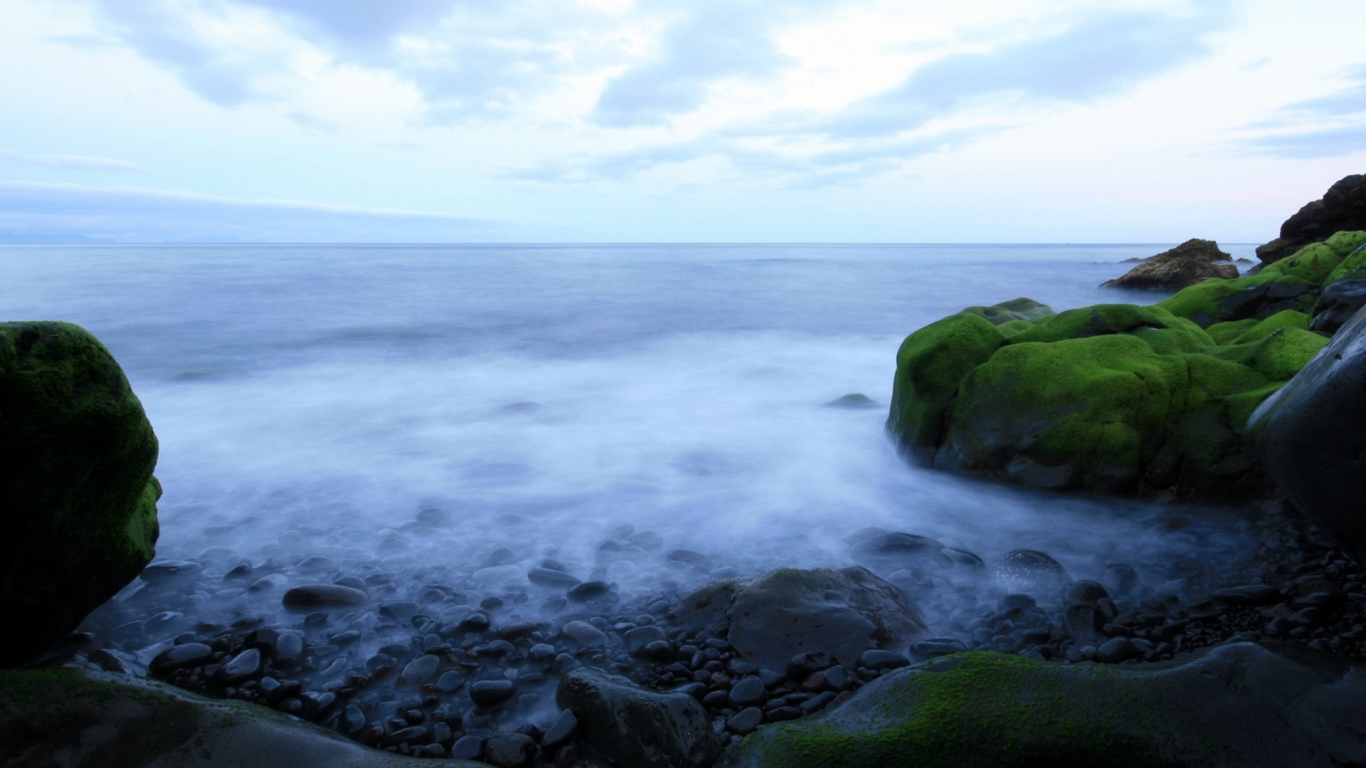 Морское побережье