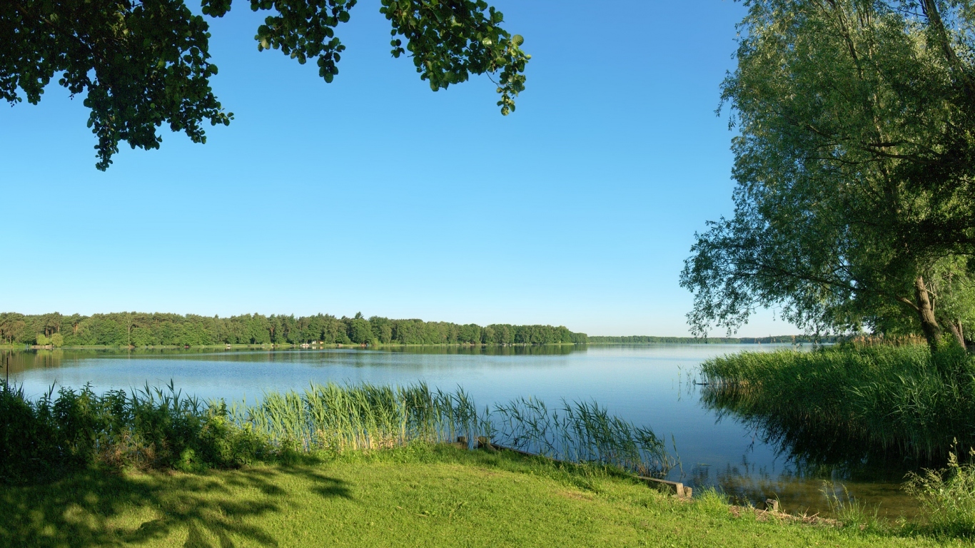 Летняя благодать