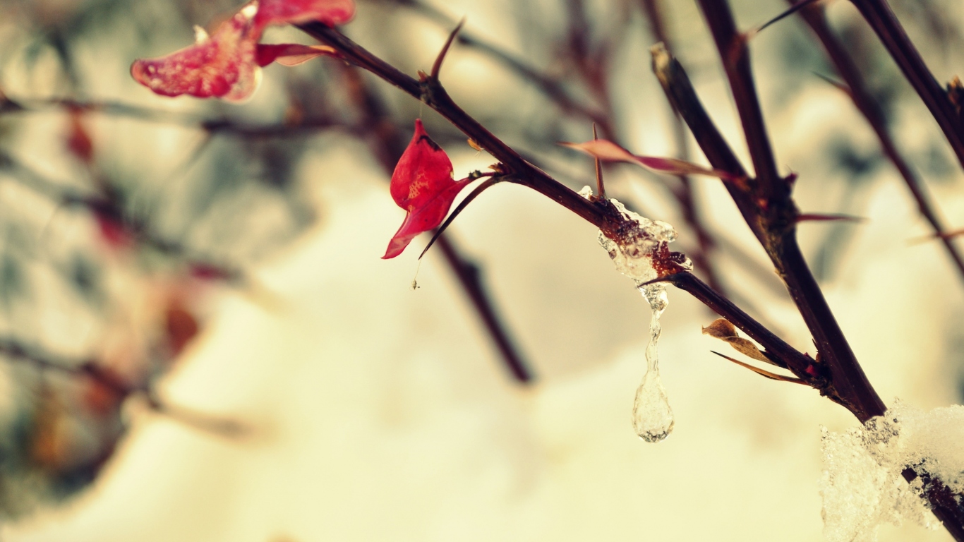 Замерзшая капля