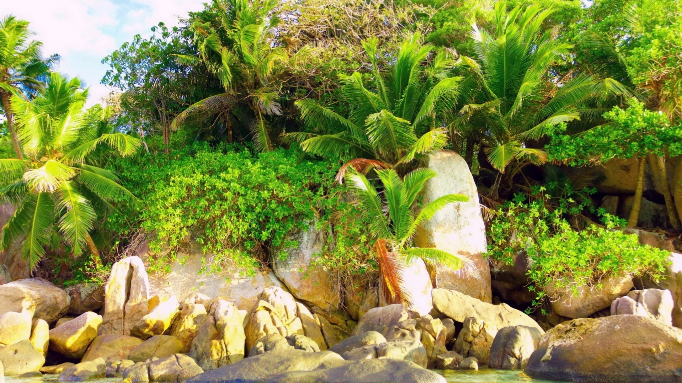 Природа тропиков