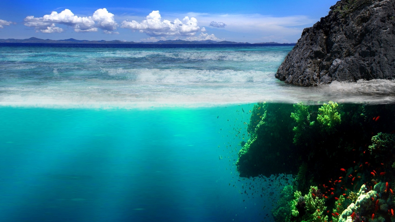 Подводный мир