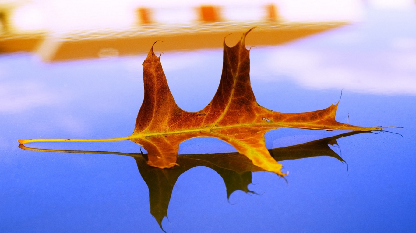 Засохший листок