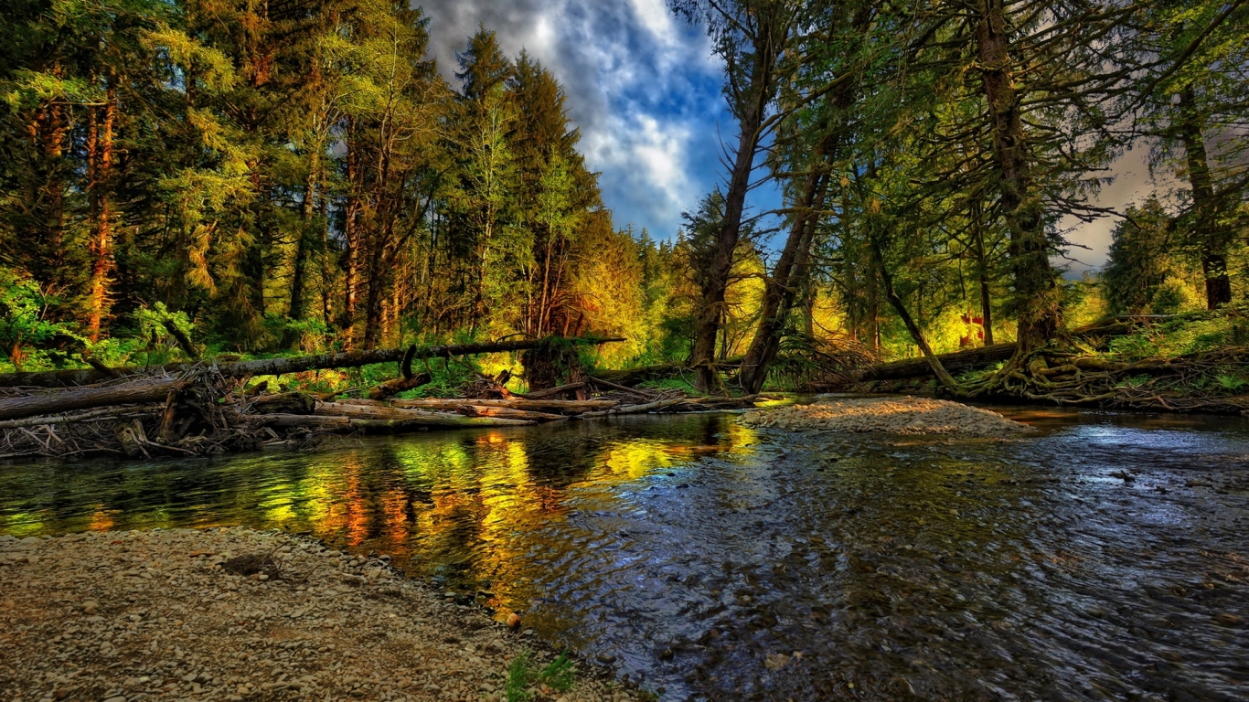 Лесная речка