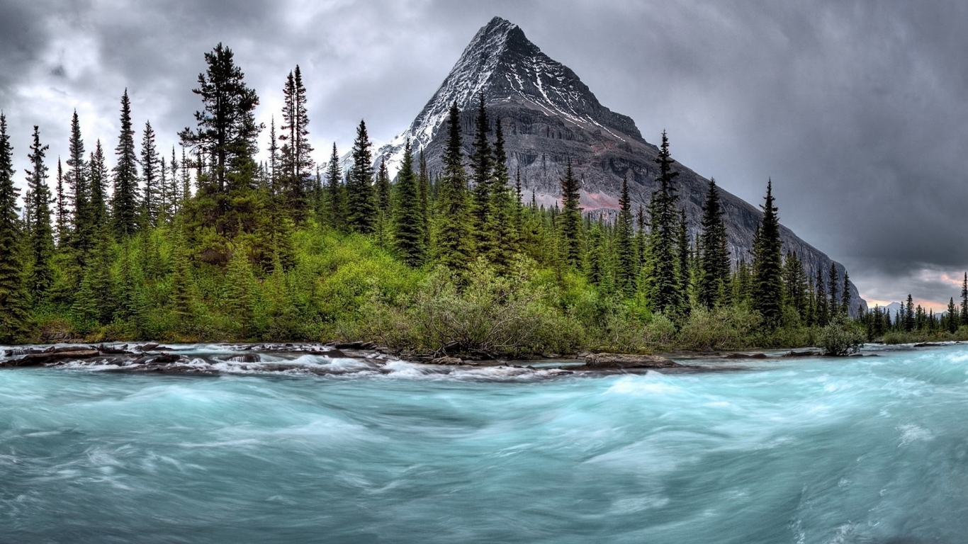 Бурная река