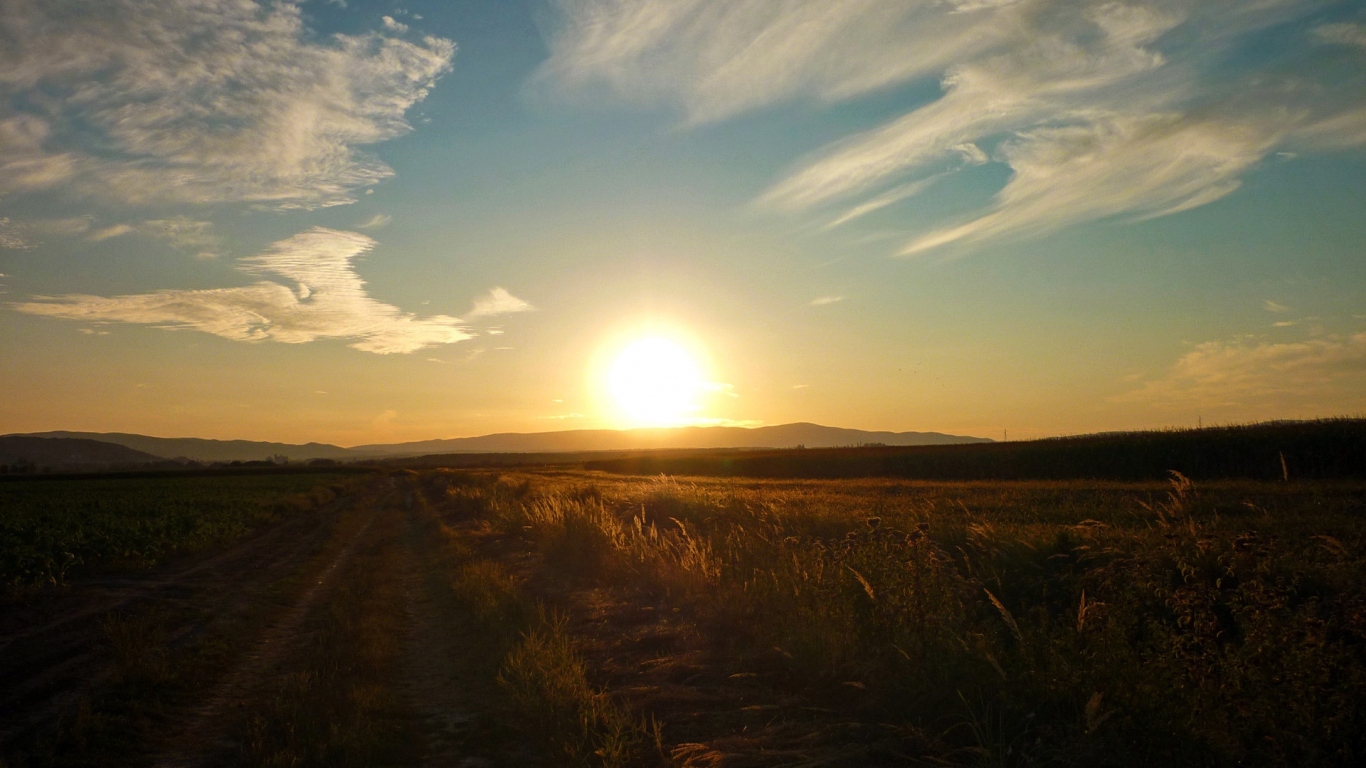 Закат в поле