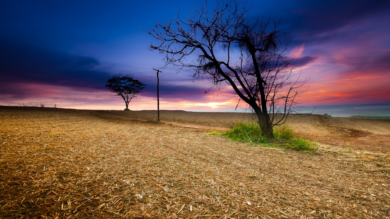Закат в поле