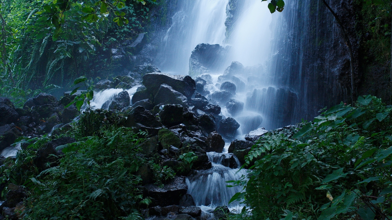 Лесной водопад