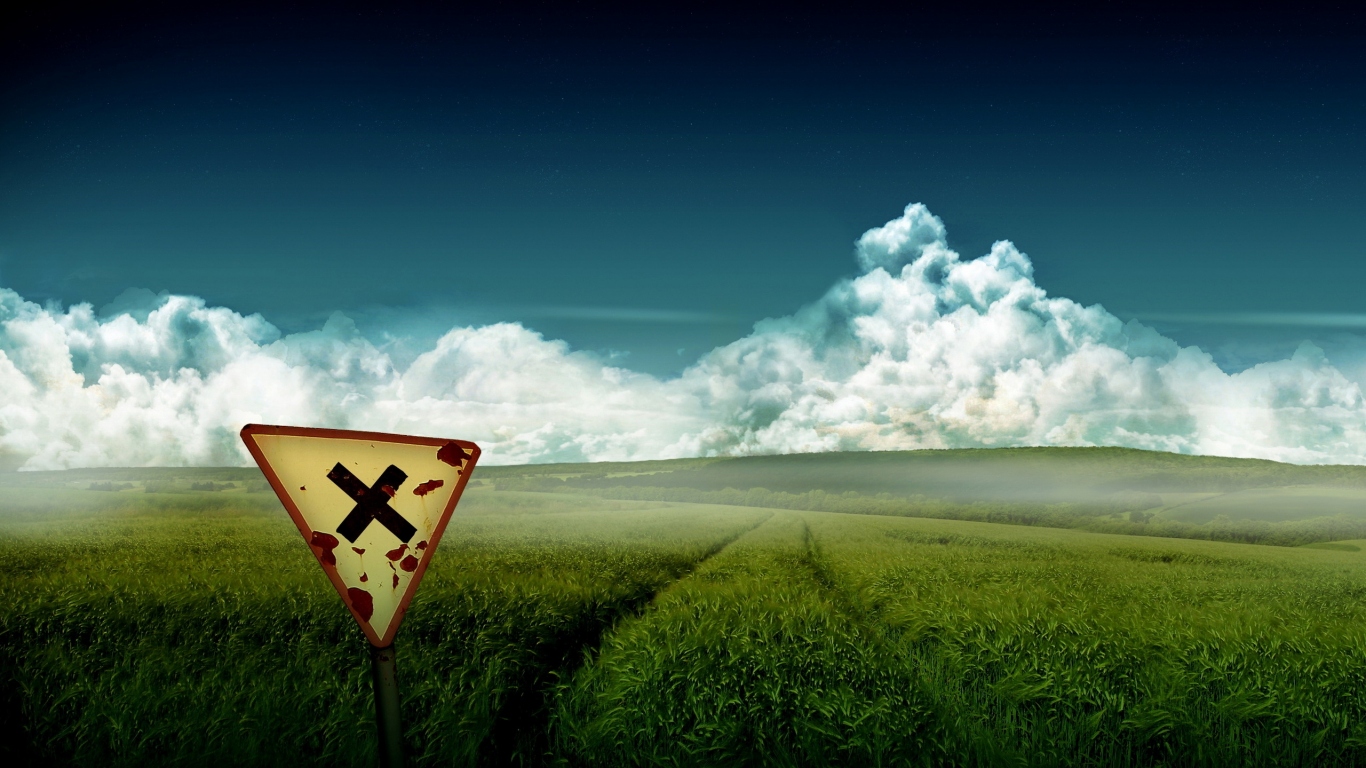 Зеленое поле