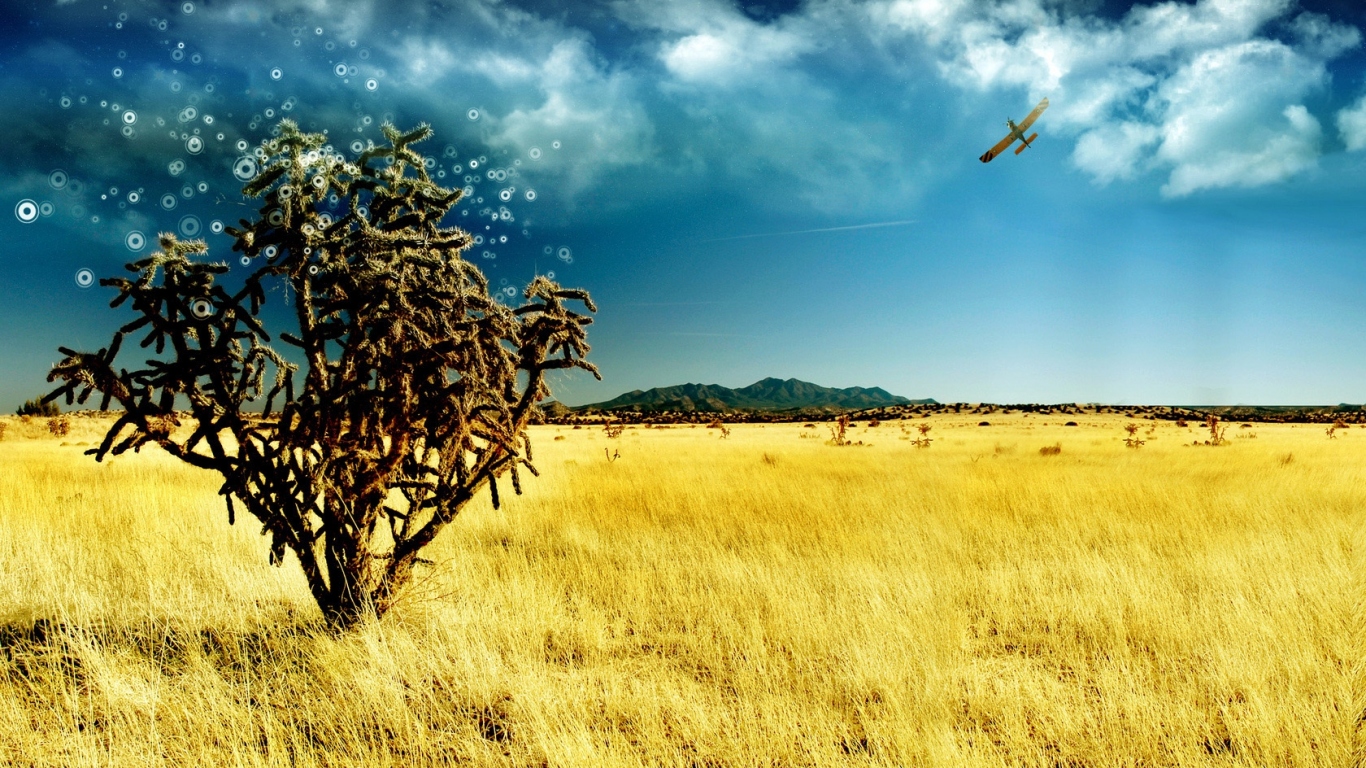 Волшебное дерево