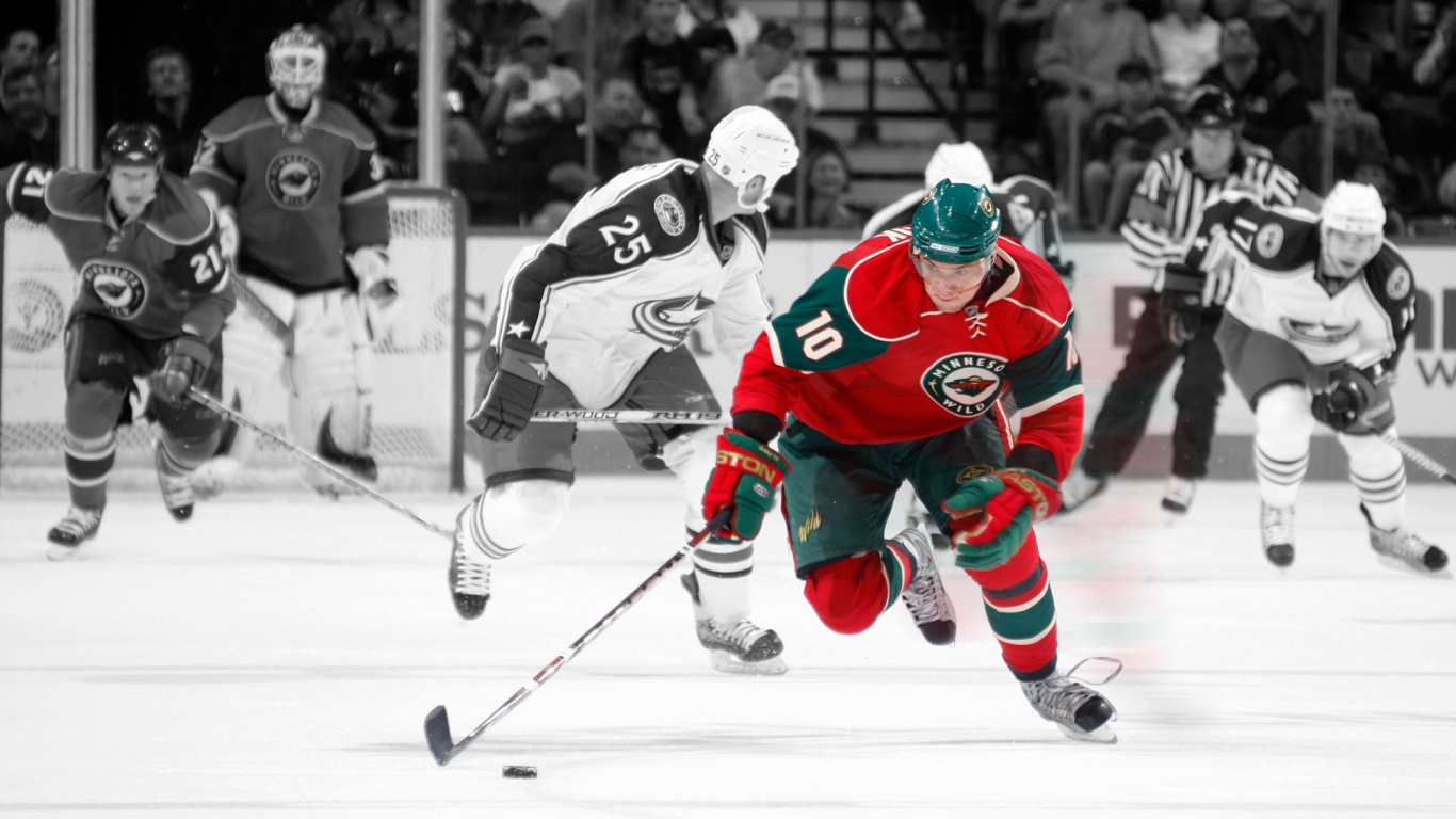 Minnesota Wild, NHL