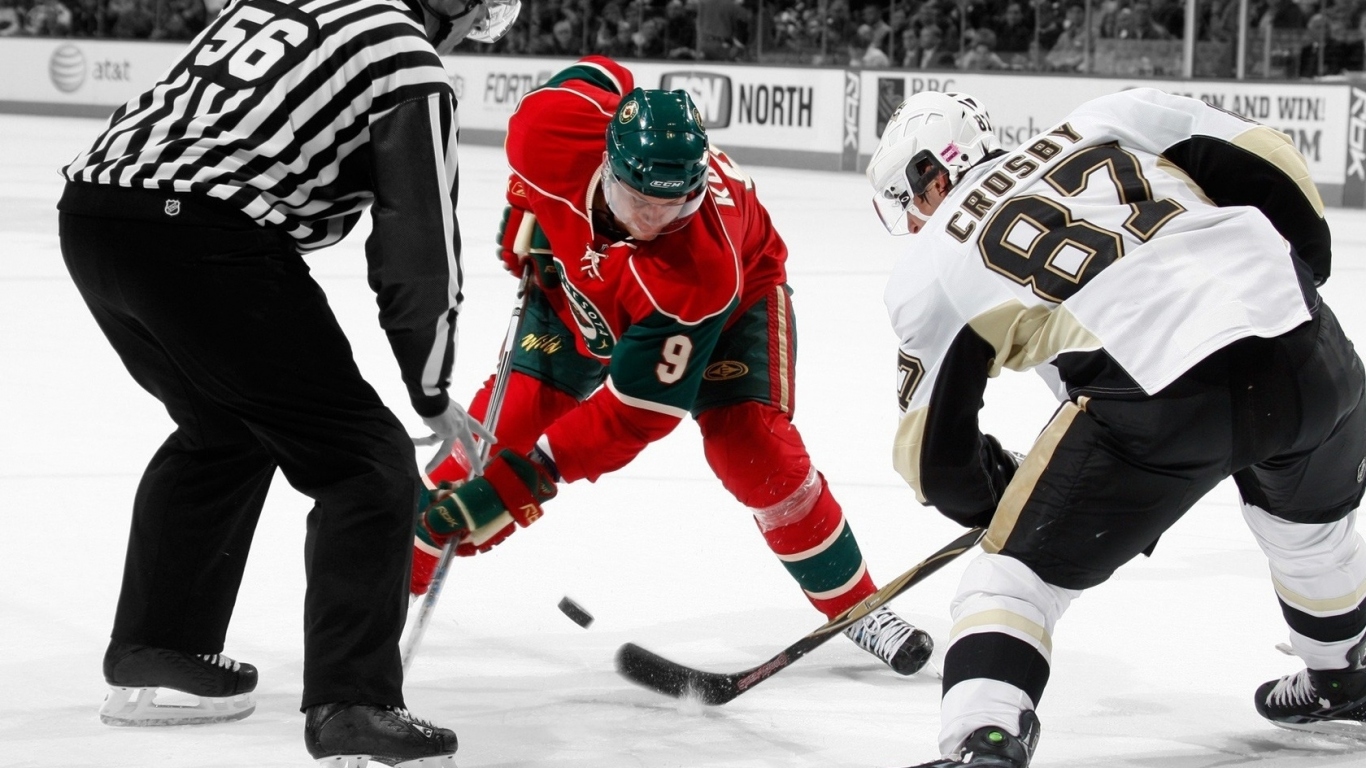 хоккей, лед, шайба