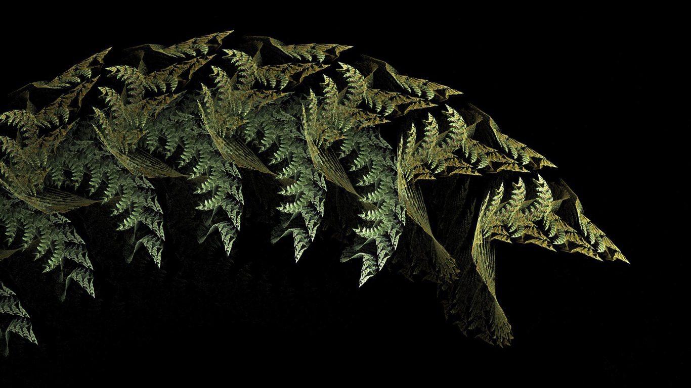 Листья папоротника