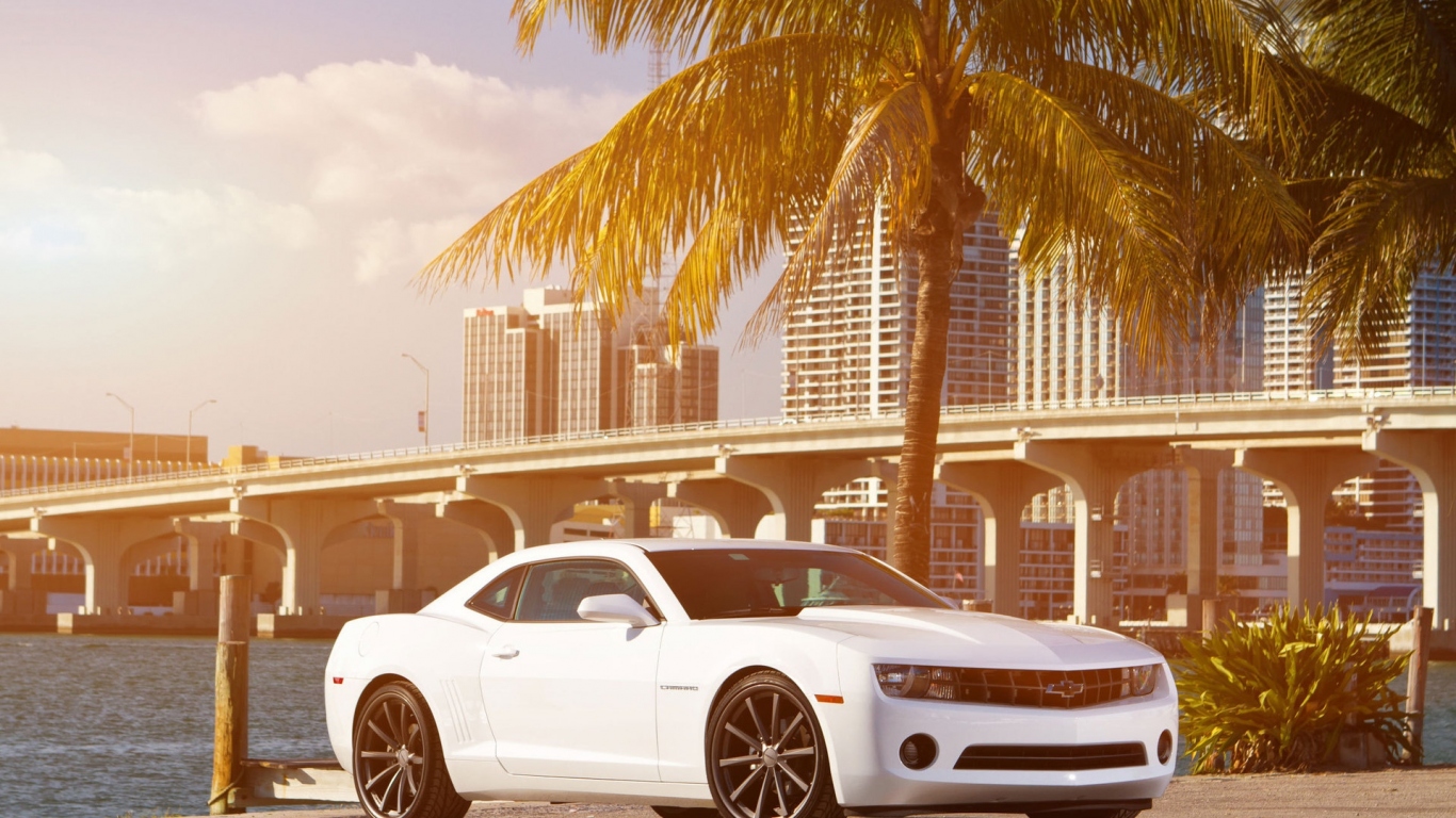 Chevrolet Camaro под пальмой