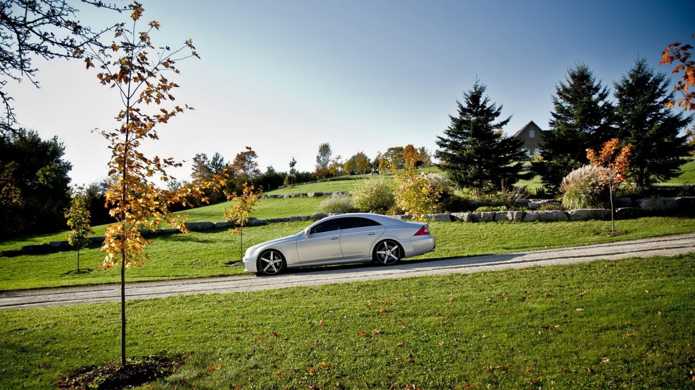 Mercedes Benz CLS на природе