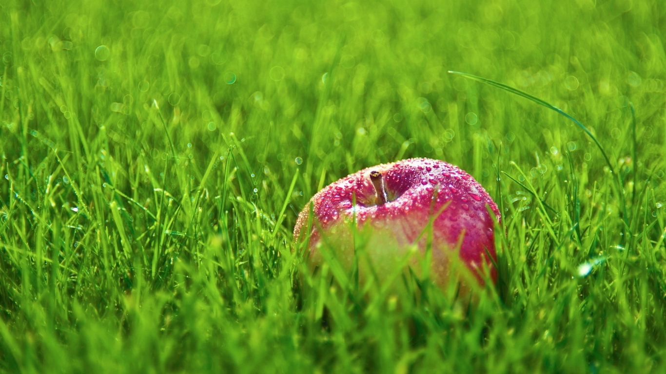 Яблоко в траве