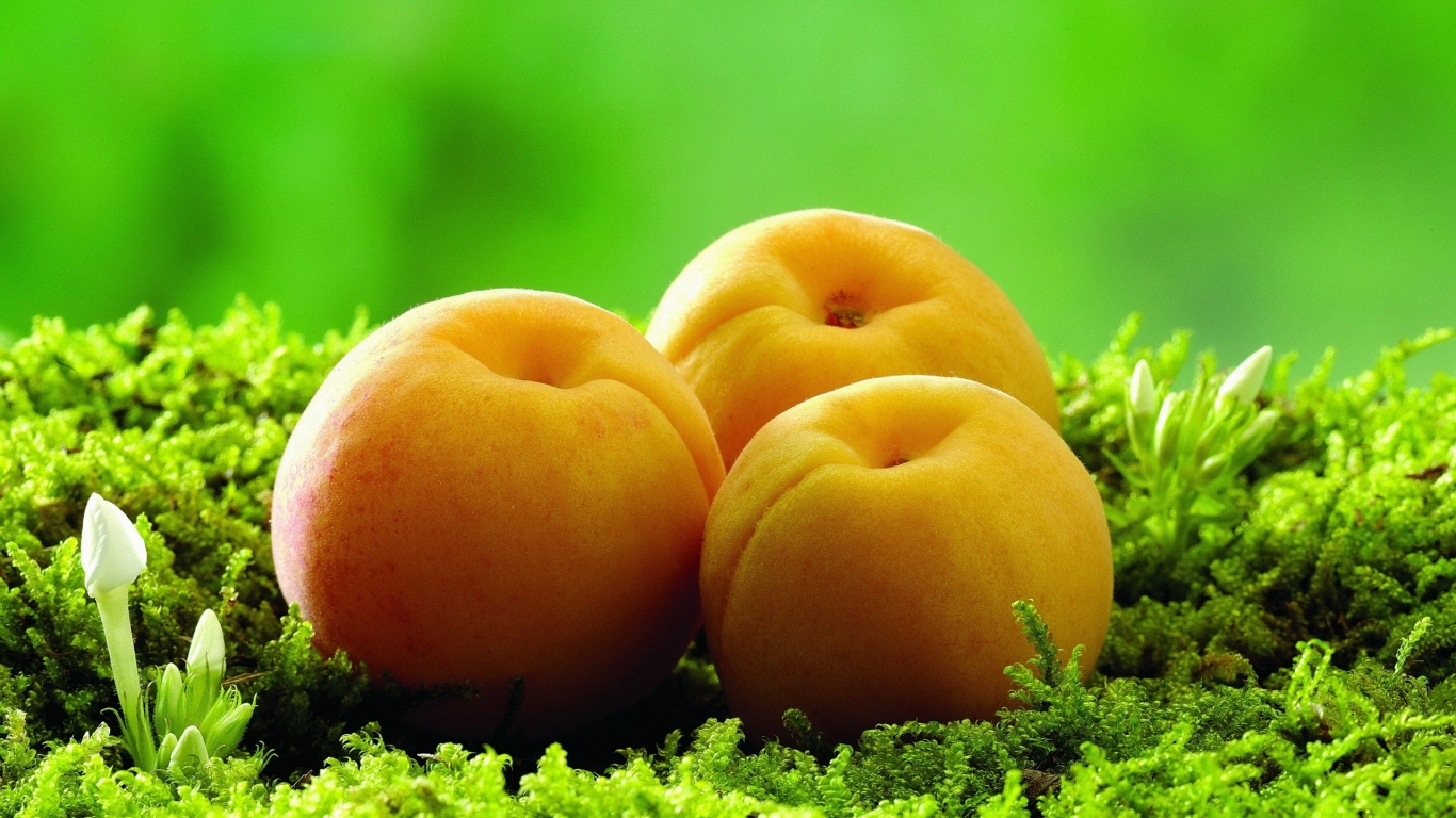 Абрикосы на траве