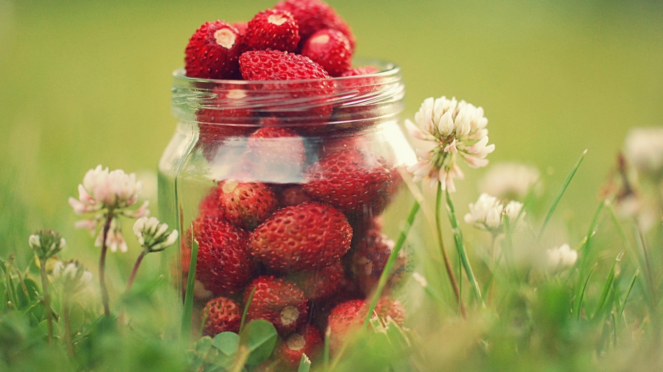 Земляника в банке