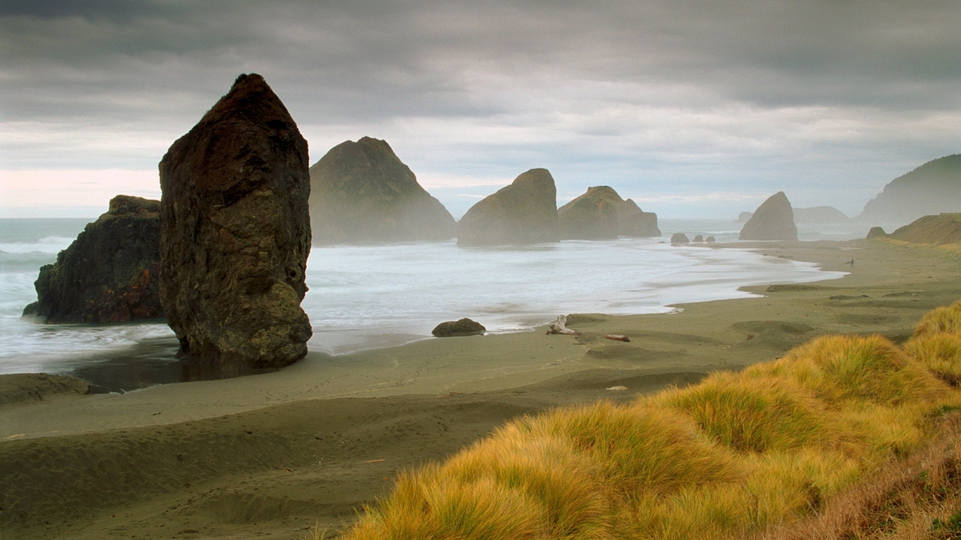 Морское побережье