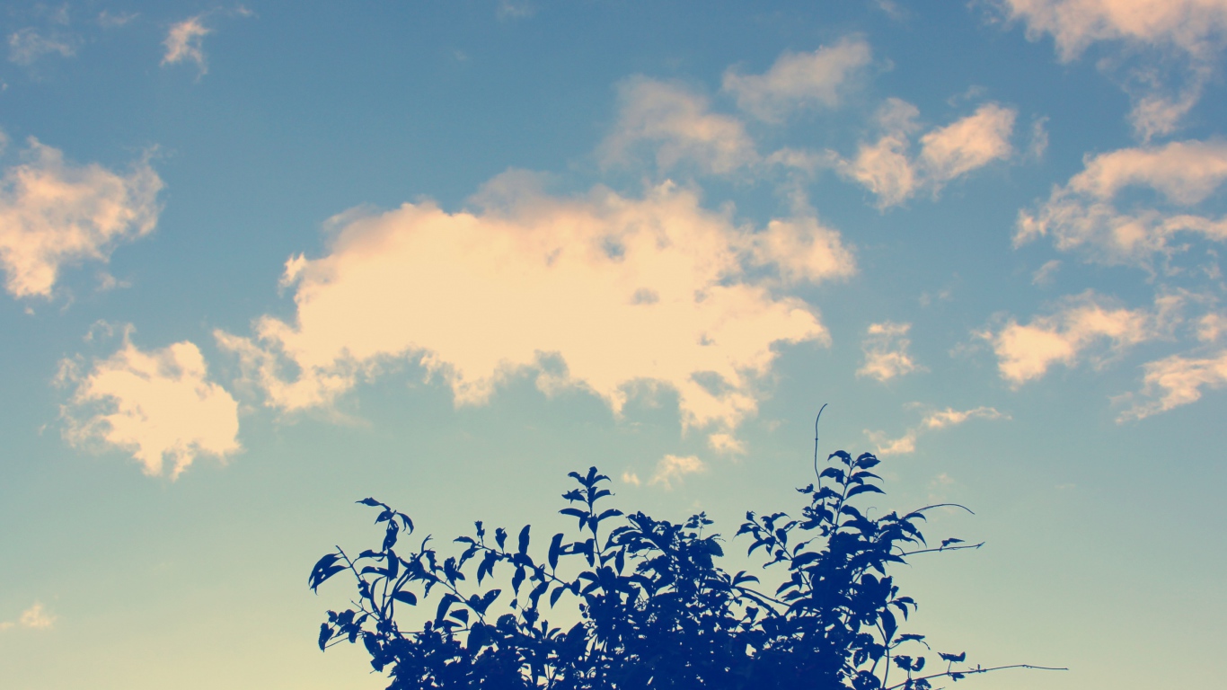 Облака и дерево