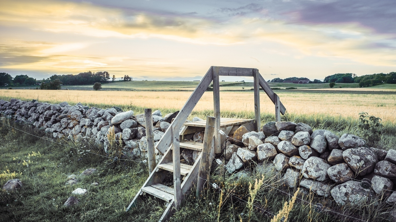 Лестница в поле