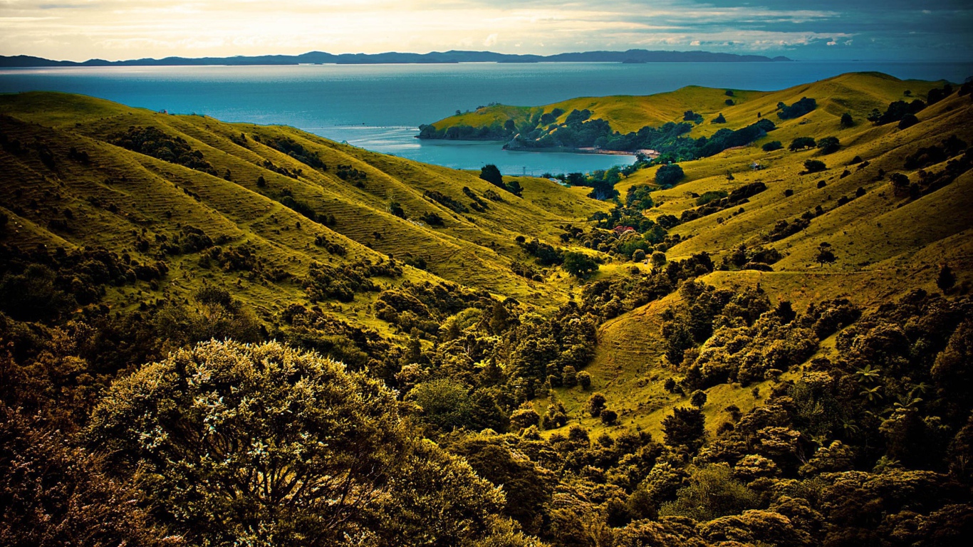 Долина у моря