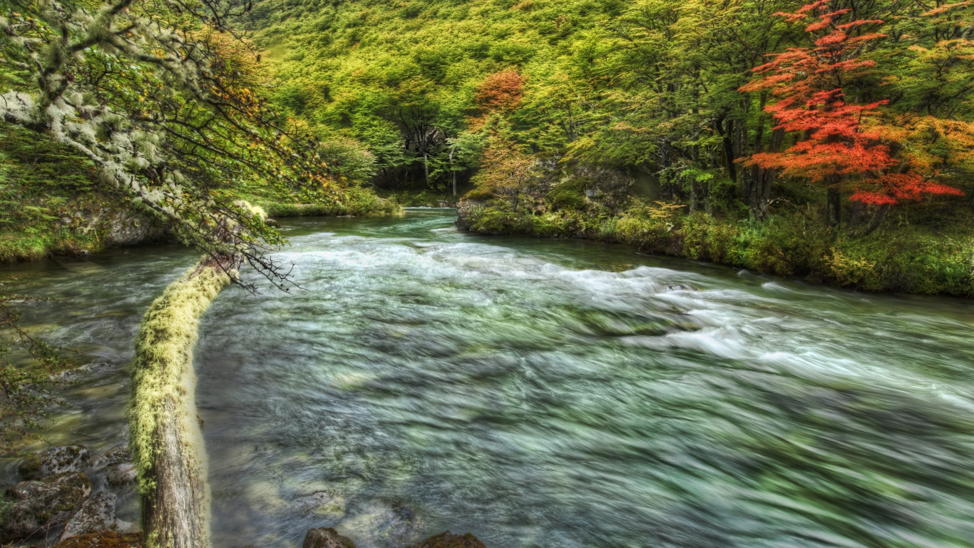 Быстрая горная речка
