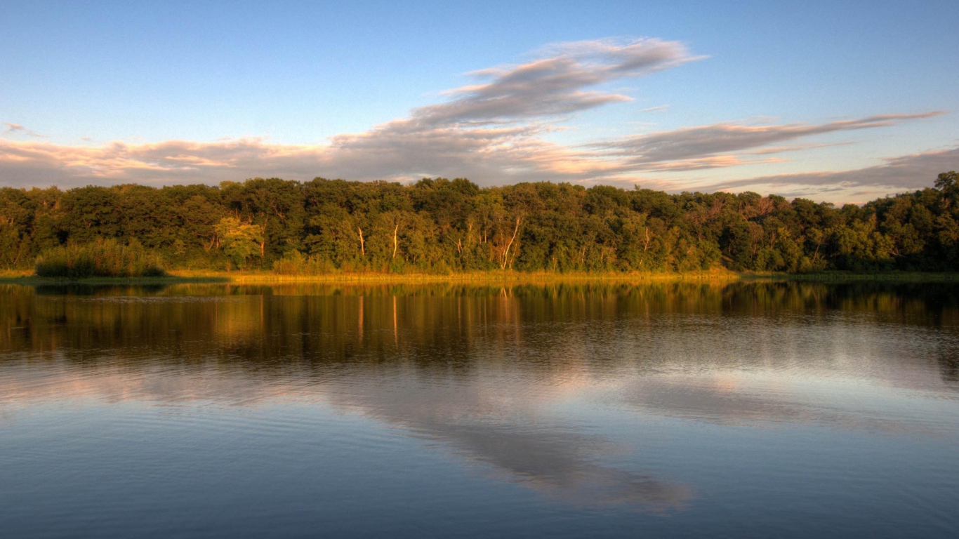 Озеро у леса