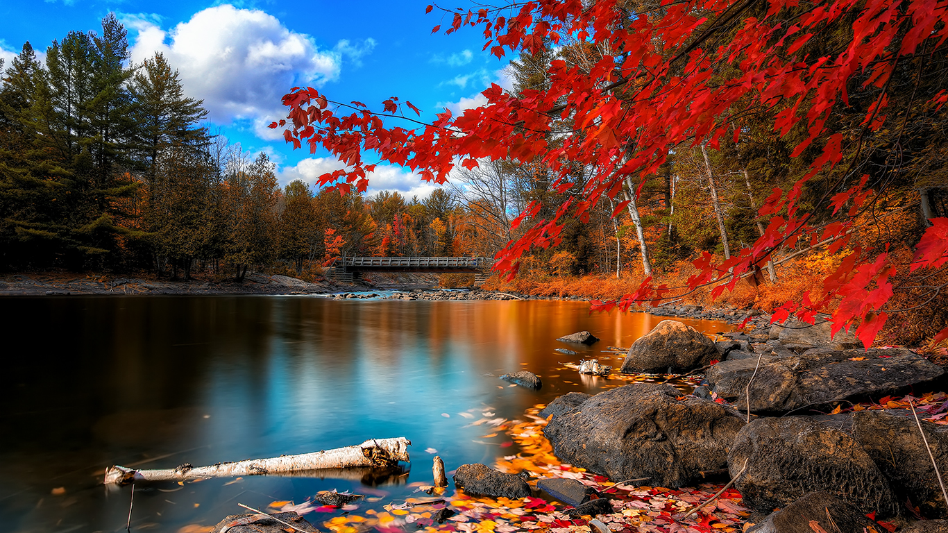 Осенний пейзаж - красные листья