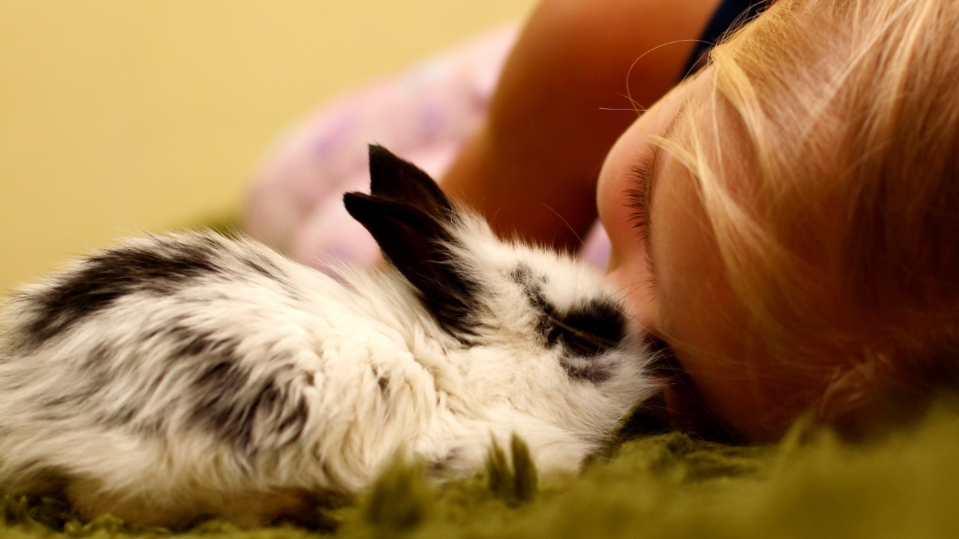 Девочка и кролик