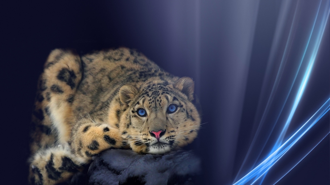 Снежный барс