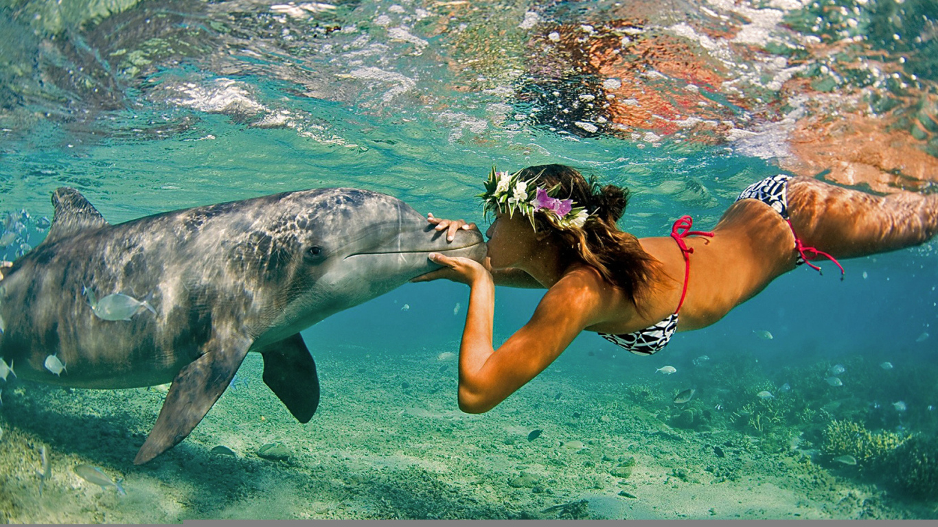 Поцелуй дельфина