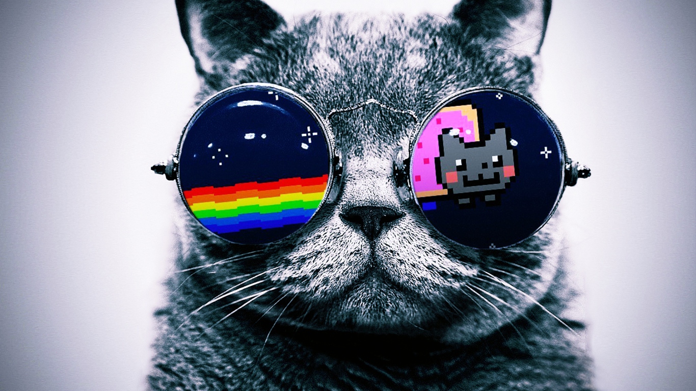 Кот в очках Hello Kitty